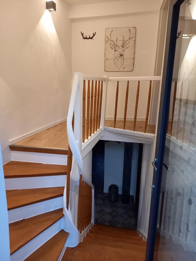 Ferienwohnung Rheinspaziert Dellhofen Eksteriør bilde